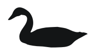 swan