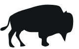 bison