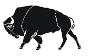 bison