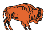 buffalo