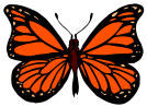 monarch butterfly