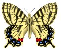 butterfly