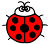 ladybug