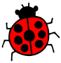 ladybug