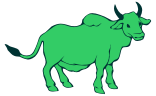 bull