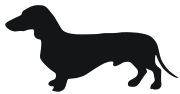 dachshund