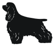 cocker spaniel