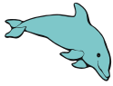 dolphin