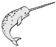 narwhals