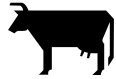 cow