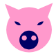 pig