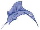 sailfish