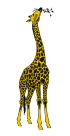 giraffe