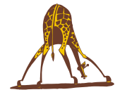 giraffe