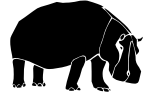 hippopotamus