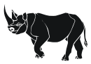 rhino