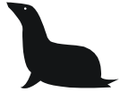 sea lion