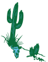 desert cactus