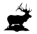 elk