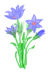 Prairie Crocus