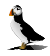 Puffin