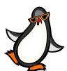 penquin with sunglasses