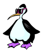 penquin with sunglasses