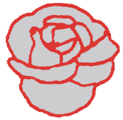 rose