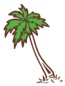 palm tree